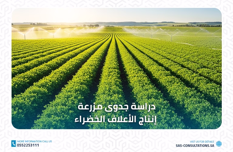 دراسة جدوى مزرعة إنتاج الأعلاف الخضراء