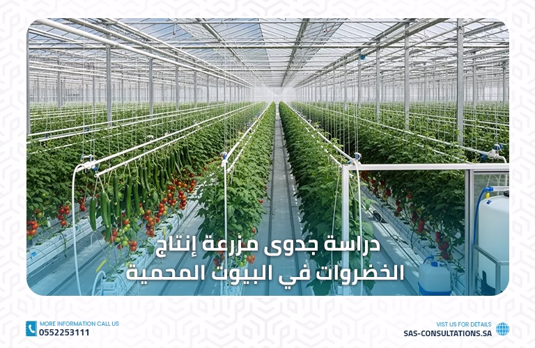 دراسة جدوى مزرعة إنتاج الخضروات في البيوت المحمية