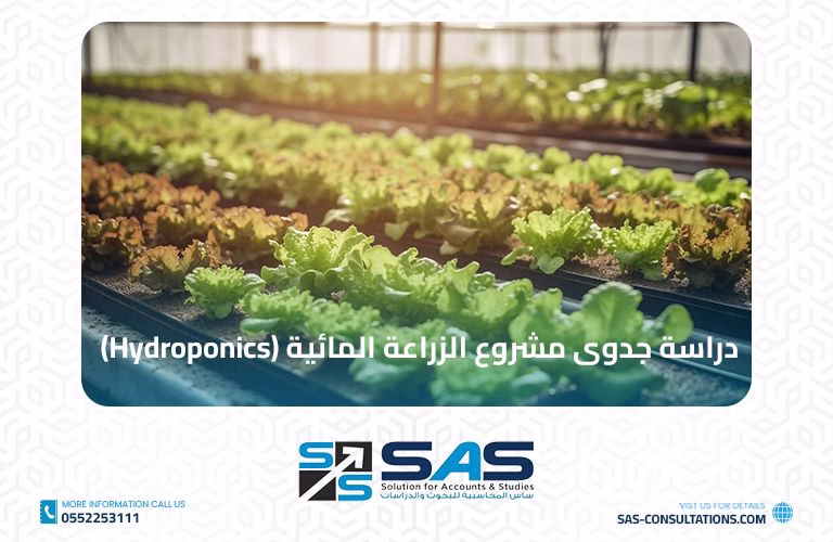 دراسة جدوى مشروع الزراعة المائية (Hydroponics)