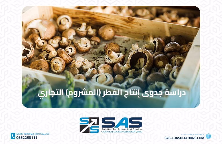 دراسة جدوى مشروع إنتاج الفطر (المشروم) التجاري